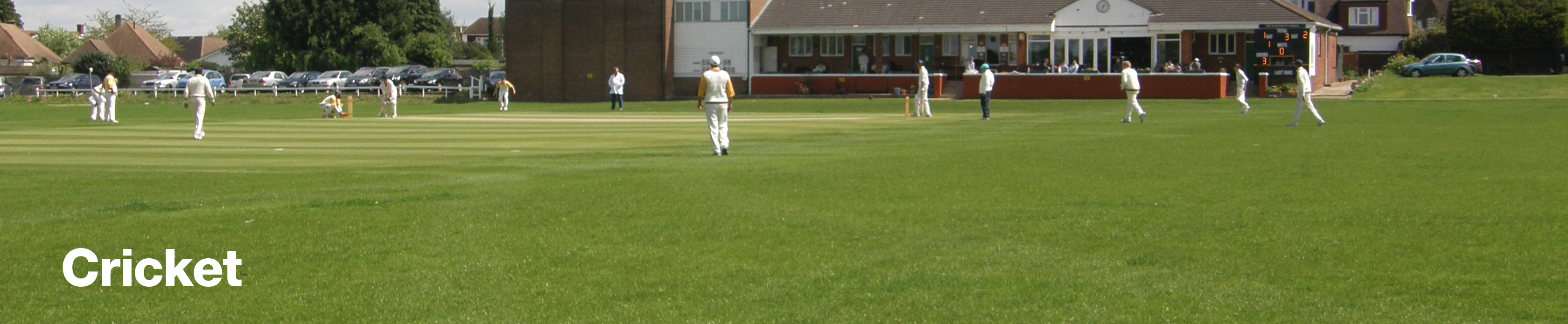 Cricket